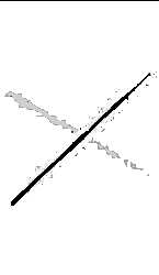 3256 ALBASTAR SUPERLATIVE SURF KAMIŞ420CM - 