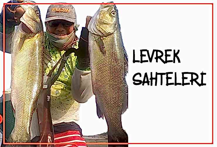 Levrek Sahteleri