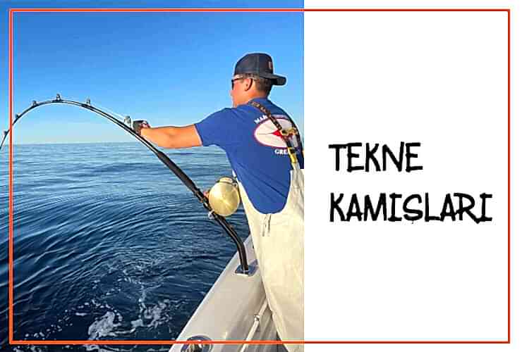 Tekne Kamışları