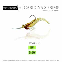 OSAKA CARIDINA SHRIMP 5CM 3.5GR C044 SİLİKON KARİDES - NaniwaOsakaShi