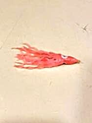 PROTACKLE 9 CM WAVE OCTOPUS 2Lİ - PROTACKLE