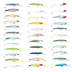 RAPALA X-RAP MAGNUM DIVE BAIT 160MM SFC - RAPALA