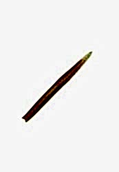 SAKURA MAJIKEEL ORANGE/CHAR. 125MM 5Lİ PK - 1