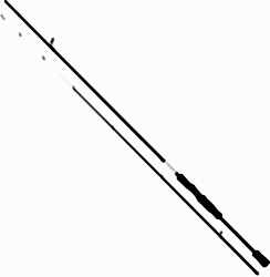 SHIMANO BASSTERRA XT+ SPIN LRF 255M 4-19G - Shimano